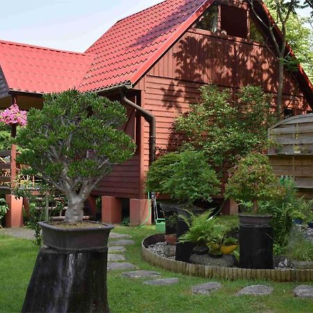 Villa Ogrod Shinrin Yoku Odpoczynek W Lesie à Srokowo Extérieur photo