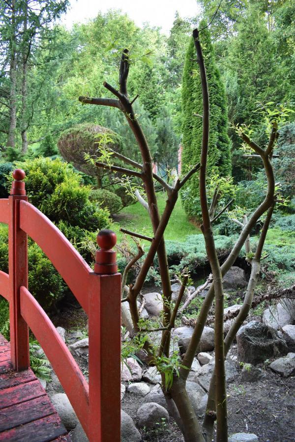 Villa Ogrod Shinrin Yoku Odpoczynek W Lesie à Srokowo Extérieur photo