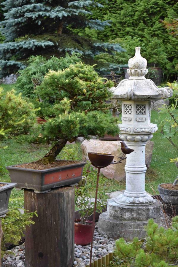 Villa Ogrod Shinrin Yoku Odpoczynek W Lesie à Srokowo Extérieur photo