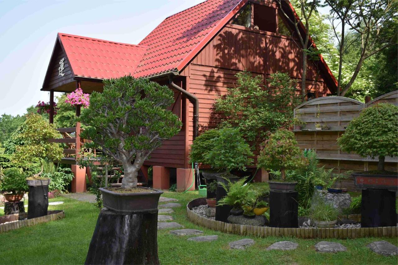 Villa Ogrod Shinrin Yoku Odpoczynek W Lesie à Srokowo Extérieur photo