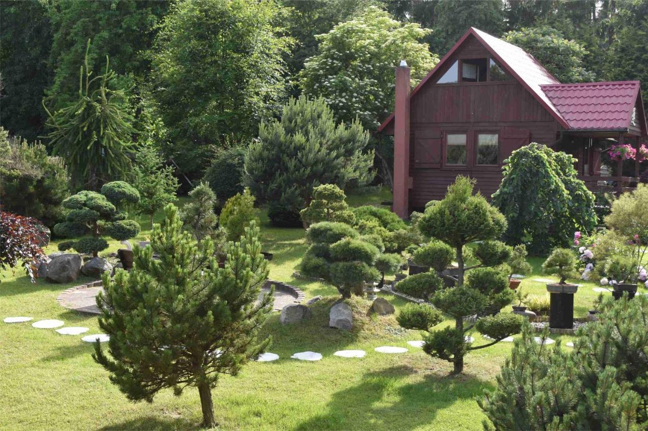 Villa Ogrod Shinrin Yoku Odpoczynek W Lesie à Srokowo Extérieur photo
